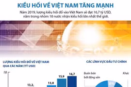[Infographics] Lượng kiều hối về Việt Nam năm 2019 tăng mạnh