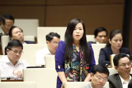 Đại biểu Quốc hội Thành phố Hà Nội Vũ Thị Lưu Mai phát biểu. (Ảnh: Văn Điệp/TTXVN)