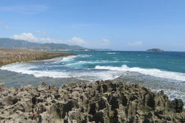 Rạn san hô cổ hóa thạch do sóng biển bào mòn tạo thành nhiều hình dáng lạ mắt. (Ảnh: Nguyễn Thành/TTXVN)