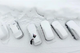 Tuyết phủ trắng xóa ở Ramsau am Dachstein, Áo, ngày 8/1/2019. (Ảnh: AFP/TTXVN)