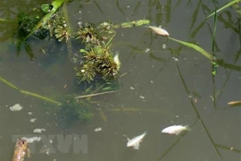 Ô nhiễm môi trường do xả thải. Ảnh minh họa. (Nguồn: TTXVN)