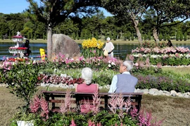 Không gian hoa xung quanh hồ Xuân Hương thu hút du khách đến tham quan. (Ảnh: Nhật Anh/TTXVN)