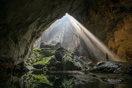 Ánh sáng chiếu xuống hang Sơn Đoòng càng tạo thêm vẻ đẹp lung linh, huyền ảo. (Nguồn: Oxalis Adventures-Ryandeboodt/Vietnam+)