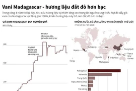 [Infographics] Vani Madagascar - hương liệu đắt đỏ hơn bạc