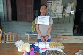 Đối tượng Thạo Chư Chang cùng tang vật vụ án. (Ảnh: Trịnh Duy Hưng/TTXVN)
