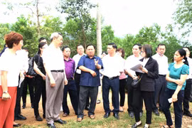Đoàn đại biểu Châu ủy Châu Văn Sơn đi khảo sát cơ sở hợp tác trồng mía xuất khẩu tại xã Phong Quang, huyện Vị Xuyên, tỉnh Hà Giang. (Ảnh: Duy Tuấn/TTXVN)