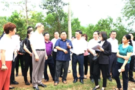Đoàn đại biểu Châu ủy Châu Văn Sơn đi khảo sát cơ sở hợp tác trồng mía xuất khẩu tại xã Phong Quang, huyện Vị Xuyên, tỉnh Hà Giang. (Ảnh: Duy Tuấn/TTXVN)
