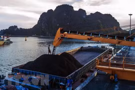 Bốc rót than xuống tàu tại cụm cảng KM6 của Công ty Kho vận và Cảng Cẩm Phả-Vinacomin. (Ảnh: Trọng Đạt/TTXVN)