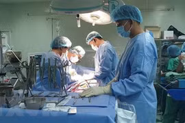 Ảnh minh họa. (Nguồn: TTXVN)