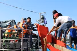 Một vụ ứng cứu tàu cá gặp nạn. (Ảnh: Trần Tĩnh/TTXVN)