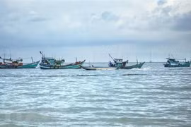 Ảnh minh họa. (Nguồn: TTXVN)