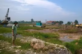 Ảnh minh họa. (Nguồn: Vietnam+) 