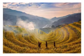 Ruộng bậc thang Mù Cang Chải vào mùa lúa chín. (Ảnh: Đỗ Tuấn Anh/TTXVN)