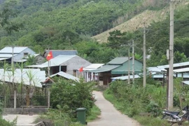 Ảnh minh họa. (Nguồn: TTXVN)