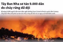 [Infographics] Tây Ban Nha sơ tán 9.000 dân do cháy rừng dữ dội