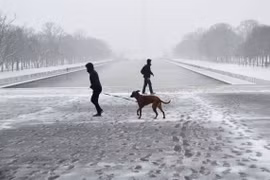 Tuyết phủ trắng xóa tại Washington D.C., Mỹ, ngày 20/2/2019. (Ảnh: THX/TTXVN)