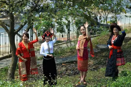 Vẻ đẹp của phụ nữ Thái nổi bật khi mặc trang phục truyền thống của dân tộc. (Ảnh: Phan Tuấn Anh/TTXVN)
