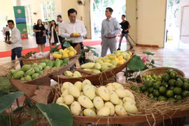 Xoài Cao Lãnh. (Nguồn: TTXVN)