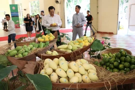 Xoài Cao Lãnh. (Nguồn: TTXVN)
