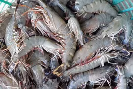 (Nguồn: TTXVN)