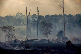 Khói bốc lên từ đám cháy rừng Amazon ở Altamira, bang Para, Brazil, ngày 27/8/2019. (Ảnh: AFP/TTXVN)