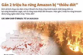 [Infographics] Gần 2 triệu hécta ở rừng Amazon bị “thiêu đốt”