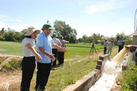 Lãnh đạo tỉnh Quảng Trị kiểm tra trạm bơm thủy lợi tại xã Vĩnh Sơn, huyện Vĩnh Linh. (Ảnh: Thanh Thủy/TTXVN)