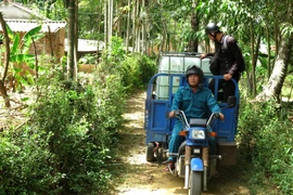 Hàng trăm hộ dân phải đi mua nước về dùng. (Ảnh: Phước Ngọc/TTXVN)