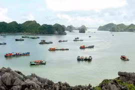 Tàu thuyền neo đậu trên vịnh Lan Hạ thuộc thị trấn Cát Bà. (Ảnh: Quang Quyết/TTXVN)