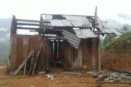 Ảnh minh họa. (Nguồn: TTXVN)