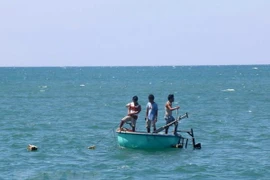 Ảnh minh họa. (Nguồn: TTXVN)