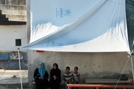 Ảnh minh họa. (Nguồn: AFP/TTXVN)