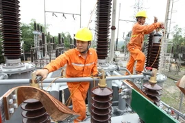 Ảnh minh họa. (Nguồn: TTXVN)