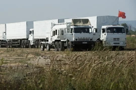 Ảnh minh họa. (Nguồn: AFP/TTXVN)