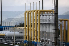 Ảnh minh họa. (Nguồn: AFP/TTXVN)