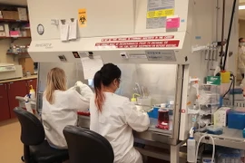 Pháp và Mỹ hợp tác phát triển vắcxin phòng chống virus Zika