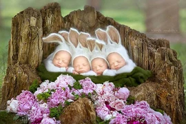 "Tan chảy" với những bức hình cực dễ thương của chị em sinh tư