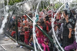 Người di cư và tị nạn tại khu vực hàng rào biên giới giữa Hungari và Serbia. (Nguồn: AFP/TTXVN) 