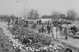 Người dân Thủ đô dạo chơi ngày xuân trong công viên Thống Nhất, Tết Quý Mão 1963. 