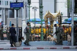 Ảnh minh họa. (Nguồn: TTXVN)