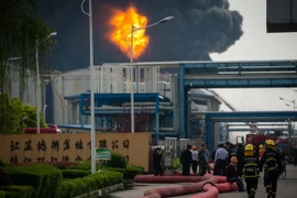 Ảnh minh họa. (Nguồn: THX/TTXVN)