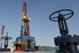 Ảnh minh họa. (Nguồn: Reuters/TTXVN)