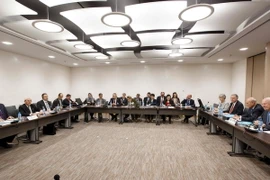 Chính phủ Syria đưa ra văn bản về "giải pháp chính trị"