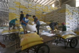 Chế biến gạo xuất khẩu tại Công ty Lương thực Đồng Tháp. (Ảnh: Vũ Sinh/TTXVN) 