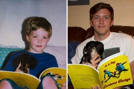 Những bức ảnh xúc động mà chỉ có người yêu động vật mới hiểu