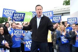 Thủ tướng Anh thuyết phục người dân nói "Không" với Brexit. (Nguồn: EPA/TTXVN)