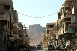 Thành phố Palmyra. (Nguồn: AFP/TTXVN)