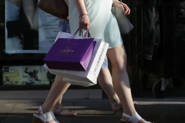 Ảnh minh họa. (Nguồn: AFP/TTXVN)