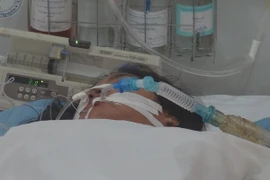 Ảnh minh họa. (Nguồn: TTXVN)