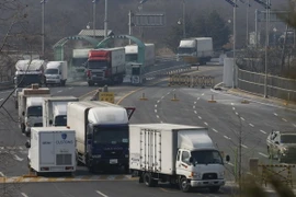 Xe chở công dân Hàn Quốc rời khỏi khu công nghiệp Kaesong ngày 11/2. (Nguồn: AFP/TTXVN)